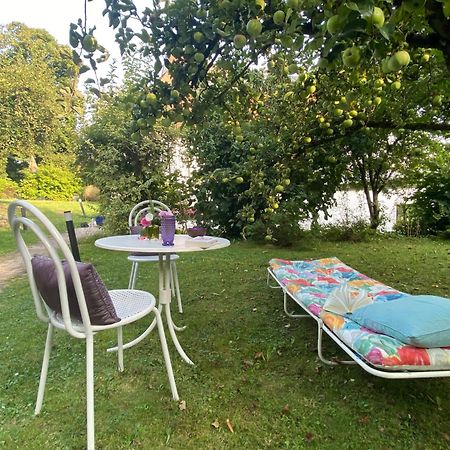 Ferienwohnung In Historischer Villa Mit Gartennutzung Furth im Wald Bagian luar foto
