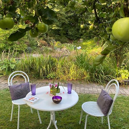 Ferienwohnung In Historischer Villa Mit Gartennutzung Furth im Wald Bagian luar foto