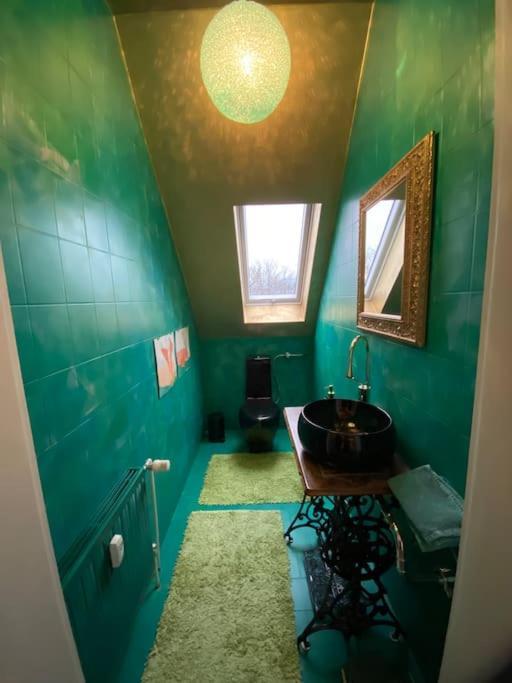 Ferienwohnung In Historischer Villa Mit Gartennutzung Furth im Wald Bagian luar foto